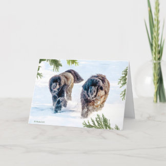 Thundering Into the New Year! Holiday Card