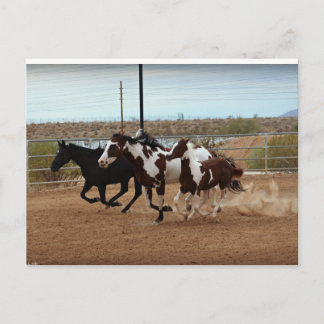 Thundering Spirits Postcard