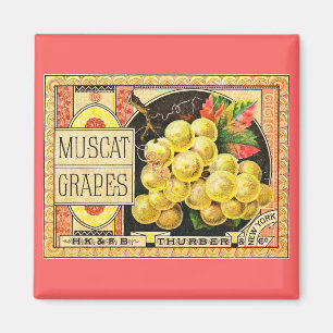 Thurber Muscat Grapes - Vintage Crate Label Magnet