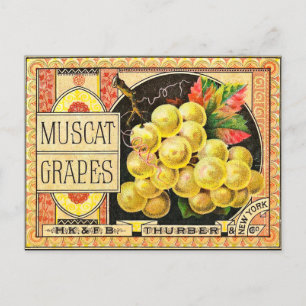 Thurber Muscat Grapes - Vintage Crate Label Postcard