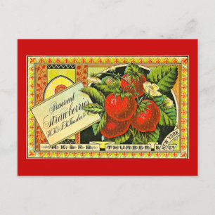 Thurber Strawberries Vintage Crate Label Postcard