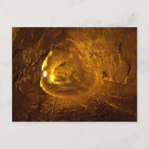 Thurston Lava Tube Hawaii Volcanoes National Park Postcard