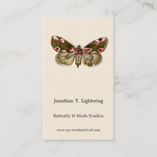 Thyatira batis - The Peach Blossom Moth Business Card