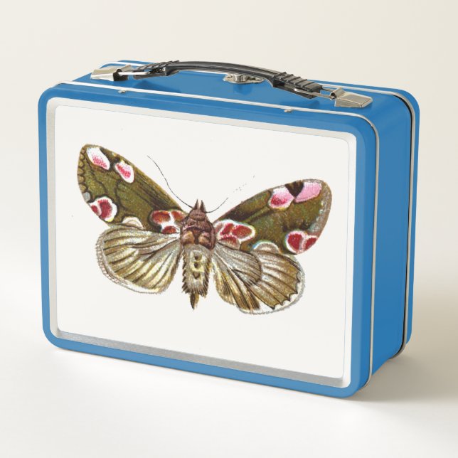 Thyatira batis - The Peach Blossom Moth Metal Lunch Box (Back)