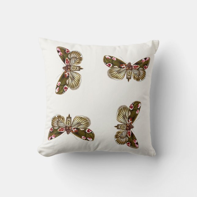 Thyatira batis - The Peach Blossom Moth Throw Pillow (Front)