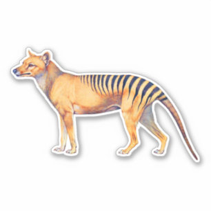 Thylacine (Tasmanian Tiger)