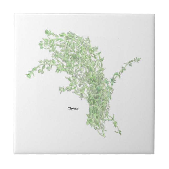 Thyme Drawing Tile (Front)