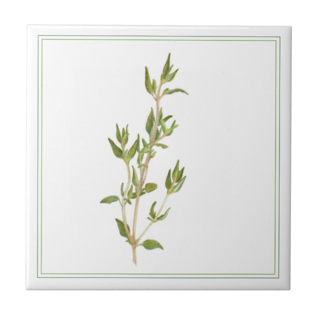 THYME FRAIS 4.25x4.25 Carreaux en céramique (-text (Devant)