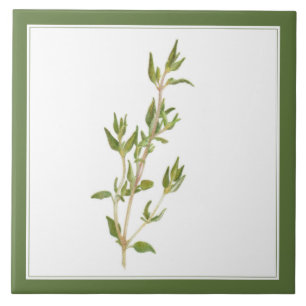 THYME FRAIS Carreau en céramique 6x6 (-texte) Vert