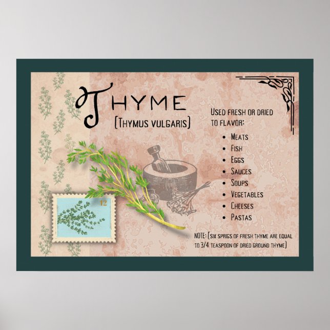 Thyme Herb Botanical Info Poster (Front)