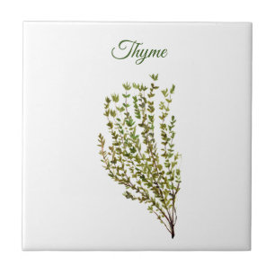 Thyme Herb Greenery Kitchen Culinary Green Plant C Tile