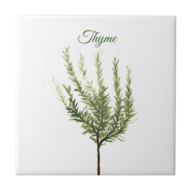 Thyme Herb Greenery Kitchen Culinary Green Plant C Tile (Front)
