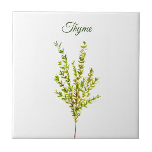 Thyme Herb Greenery Kitchen Culinary Green Plant Tile