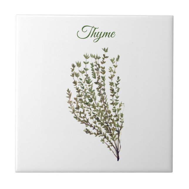 Thyme Herb Greenery Kitchen Culinary Green Plant  Tile (Front)
