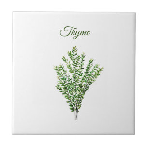 Thyme Herb Greenery Kitchen Culinary Green Plant Tile