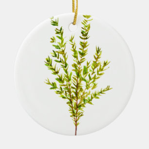 Thyme herbs Botanical herb green watercolor  Ceramic Ornament