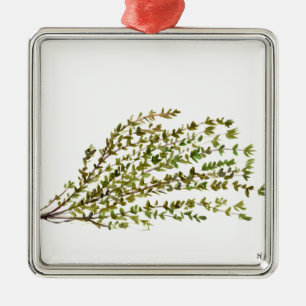Thyme herbs kitchen art watercolour painting metal ornament