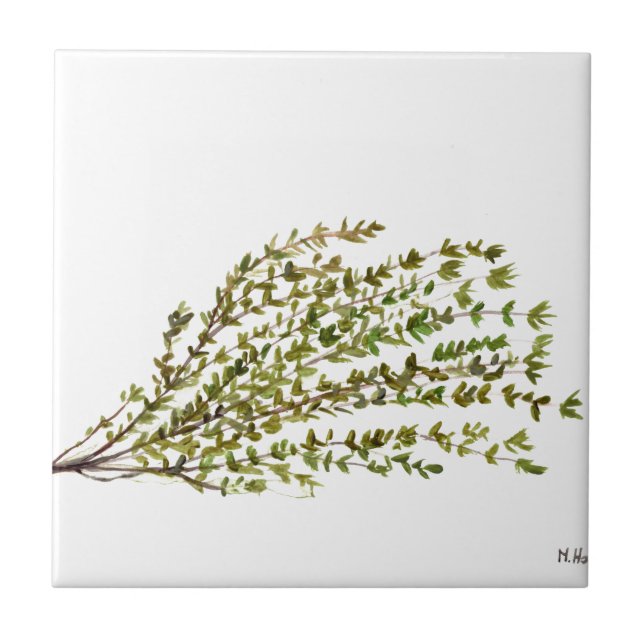 Thyme herbs kitchen art watercolour painting tile (Front)