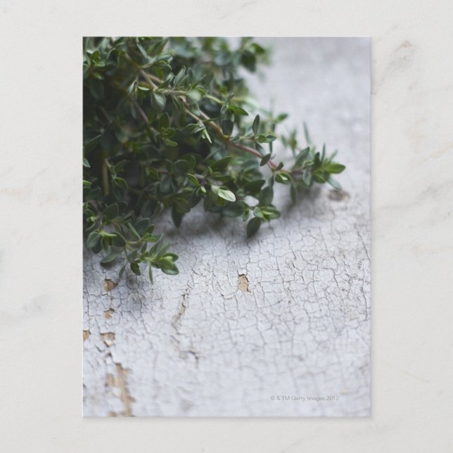 Thyme on old wooden table postcard (Front)