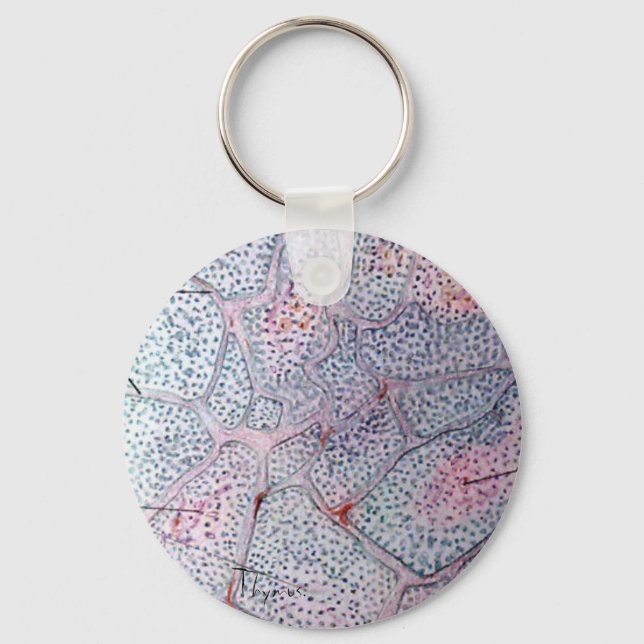 Thymus. Keychain (Front)