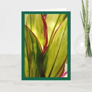 Ti Leaves,  blank card