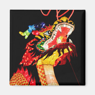 Tianlong Dragon Magnet