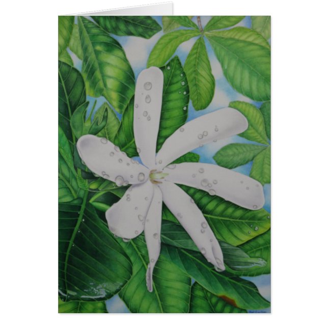 Tiare Tahiti (Front)