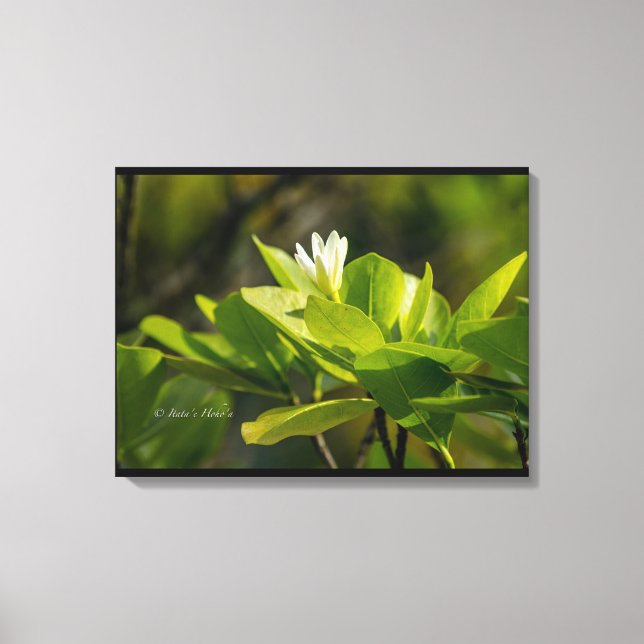 "Tiare Tahiti" photo by Itata'e Hoho'a Canvas Print (Front)