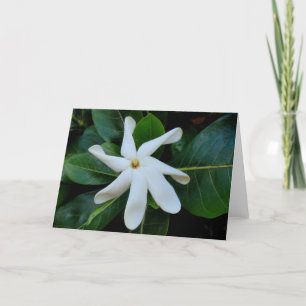 Tiare Tahitian Gardenia Card