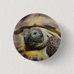 Tibbs 1 Inch Round Button