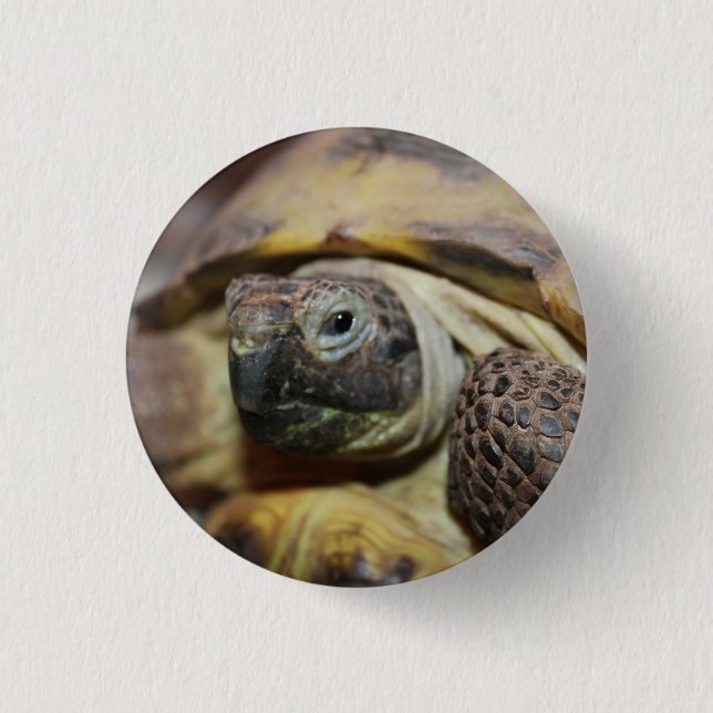 Tibbs 1 Inch Round Button (Front)