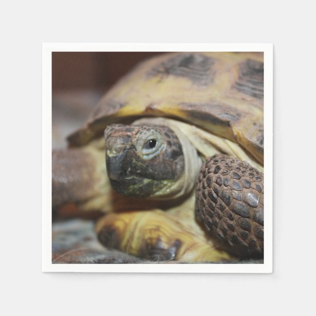 Tibbs Napkin (Front)