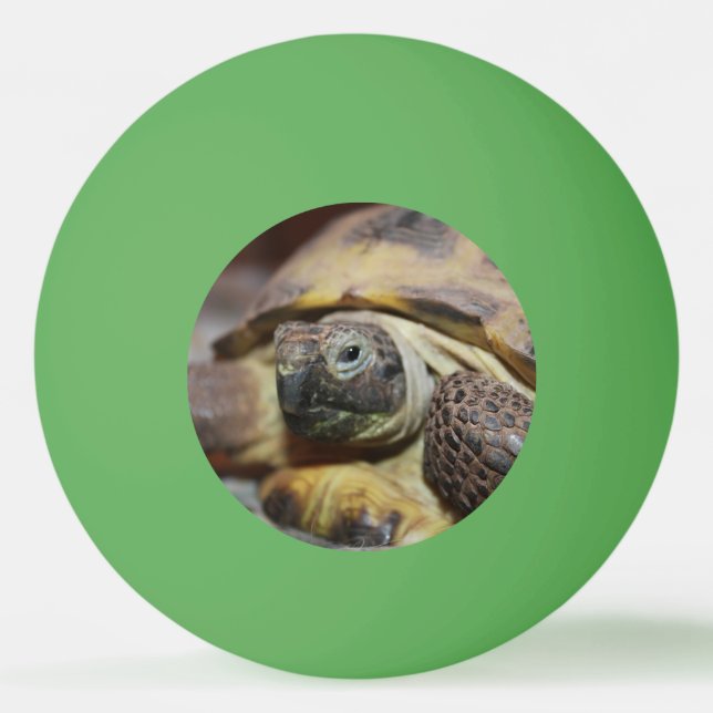 Tibbs Ping Pong Ball (Front)