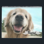 Tiberius' 2019 Golden Retriever AugieDoggy Calendar<br><div class="desc">This calendar features 12 months of golden retriever Tiberius, of AugieDoggy.com fame! Ti can be seen dressed as a viking, with a Thanksgiving turkey on his head, wearing nerd glasses, resting under the Christmas tree, and lots more! We dedicate it to our Augie, who went to the rainbow bridge on...</div>