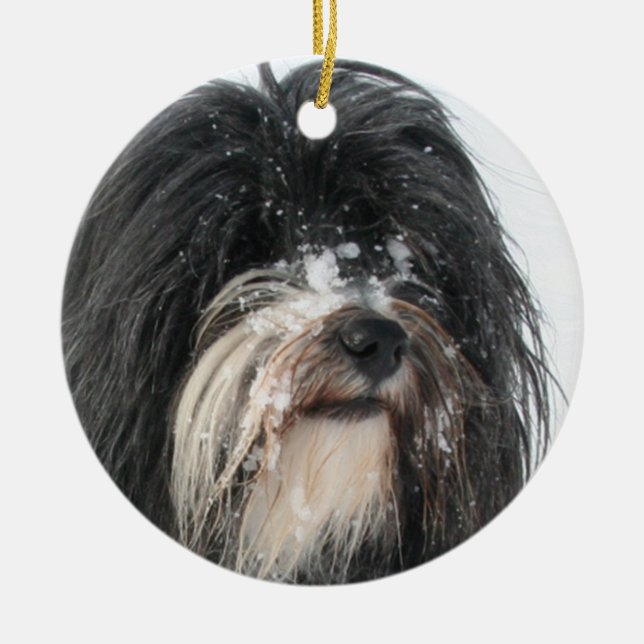 Tibet_Terrier.png Ceramic Ornament (Front)