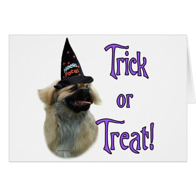 Tibétain Spaniel Trick (Devant horizontal)