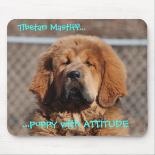 Tibetan Mastiff Attitude Mouse Pad
