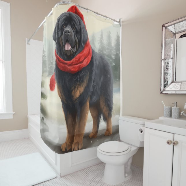 Tibetan Mastiff Dog in Snow Christmas  (In Situ)