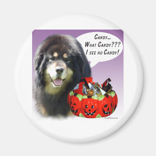 Tibetan Mastiff Halloween Candy Magnet