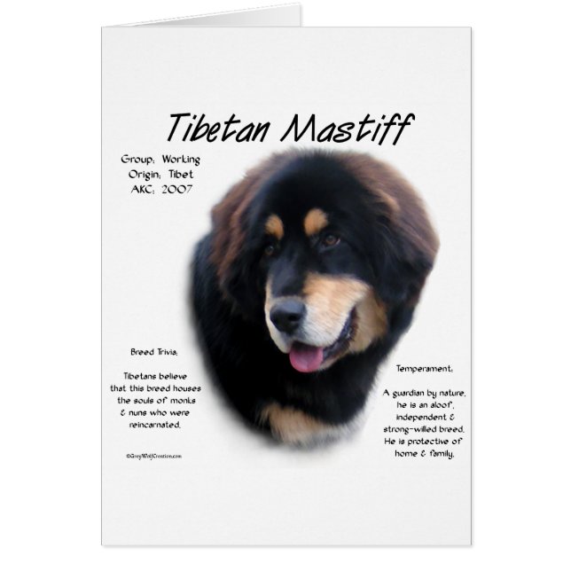 Tibetan Mastiff History Design (Front)