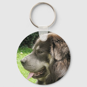 tibetan mastiff.png keychain