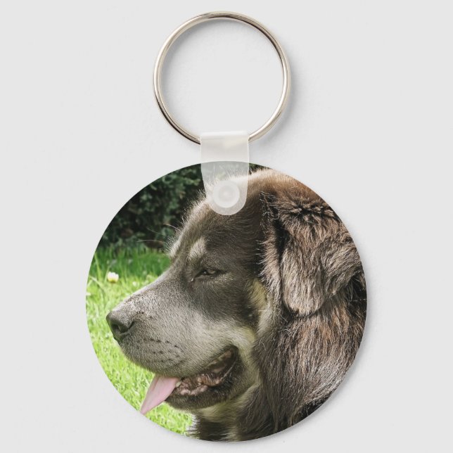 tibetan mastiff.png keychain (Front)