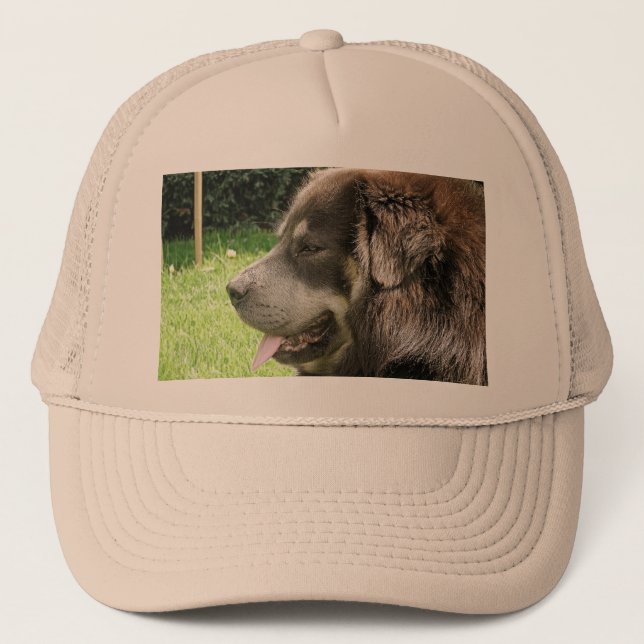 tibetan mastiff.png trucker hat (Front)