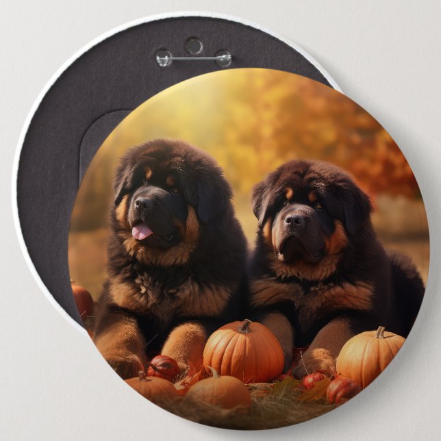 Tibetan Mastiff Puppy Autumn Delight Pumpkin  6 Inch Round Button (Front & Back)