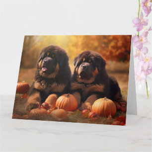 Tibetan Mastiff Puppy Autumn Delight Pumpkin Card