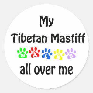 Tibetan Mastiff Walks Design Classic Round Sticker