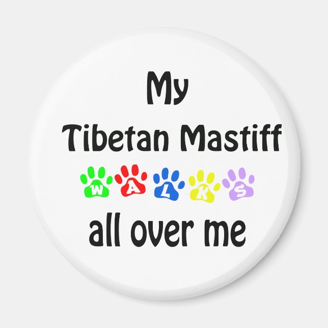 Tibetan Mastiff Walks Design Magnet (Front)