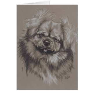 Tibetan Spaniel