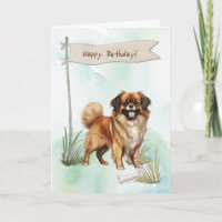 Tibetan Spaniel Dog Breed Under Birthday Sign
