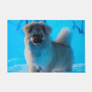 Tibetan Spaniel Dogs. Doormat